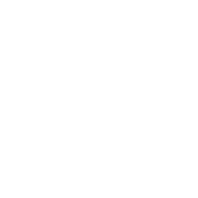 lsu-Logo
